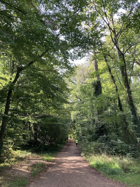 Forêt domaniale de Meudon — photo