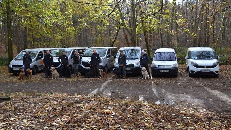 Doggies et Compagnie — photo