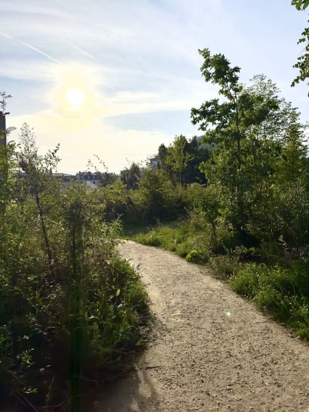 Bois de charonne — photo