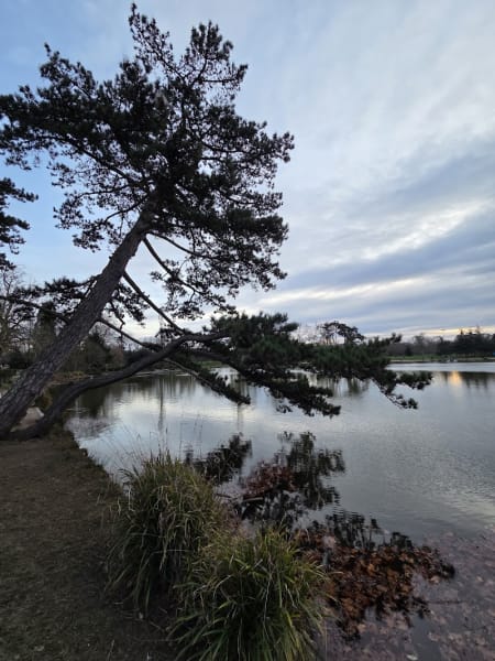 Bois Vincennes — photo