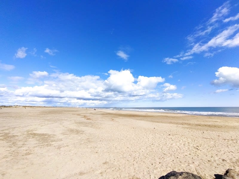 Plage autorisée aux chiens — photo
