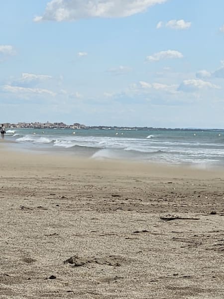 Plage autorisée aux chiens — photo