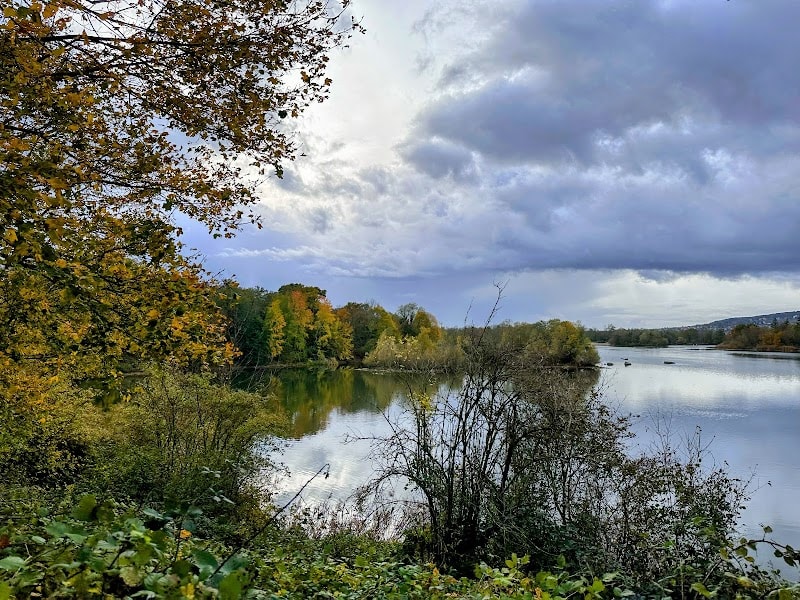 Plage de la Forêt — photo
