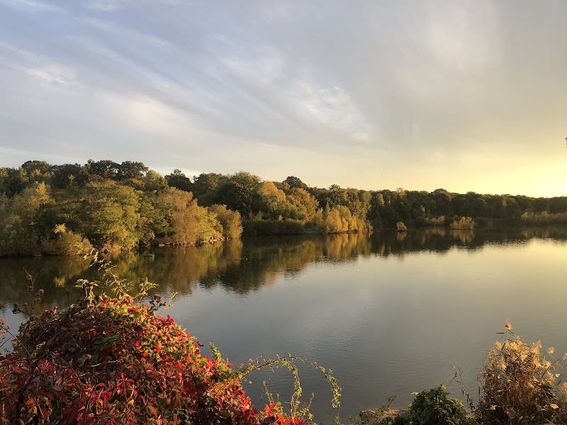 Plage de la Forêt — photo