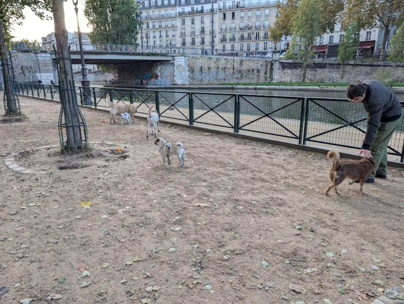 Parc à chien de Jemmapes — photo