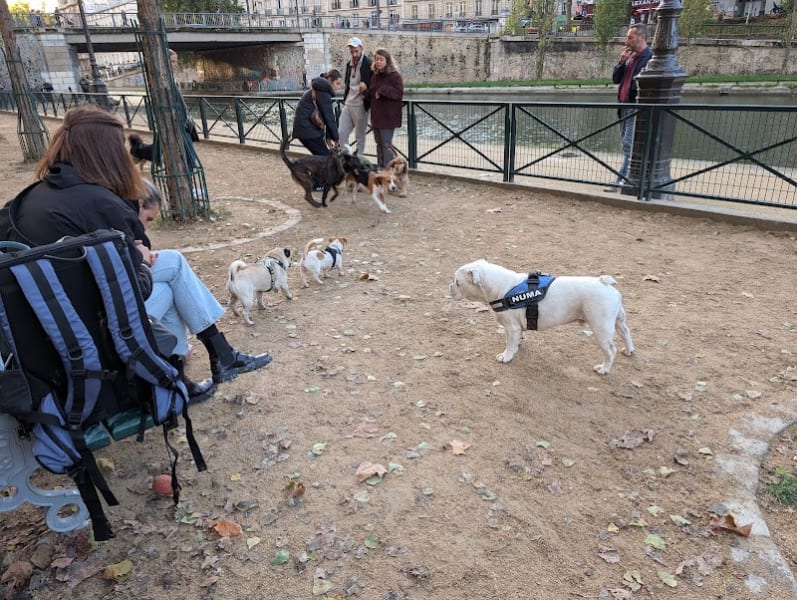 Parc à chien de Jemmapes — photo
