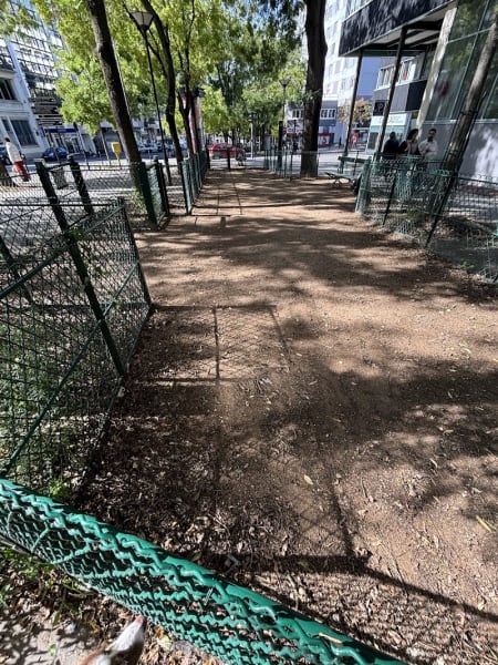Espace pour chiens — photo