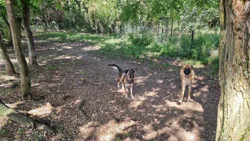 Parc à Chiens — photo
