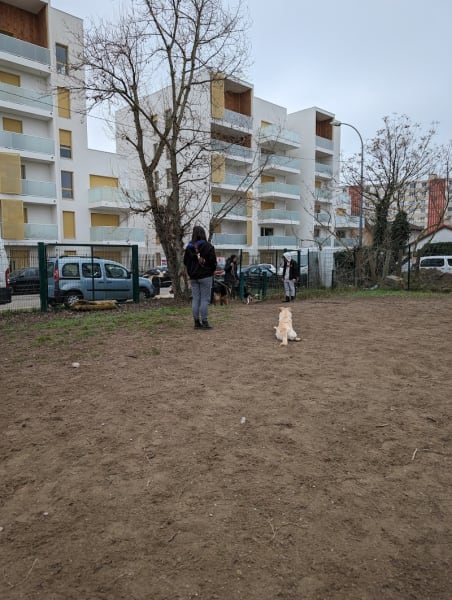 Parc à chien Croix-Luizet — photo
