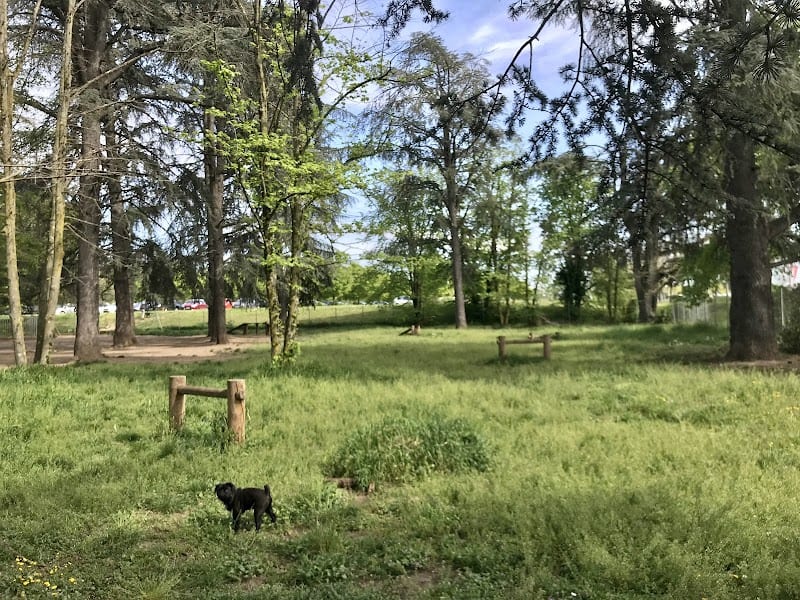 Parc canin — photo