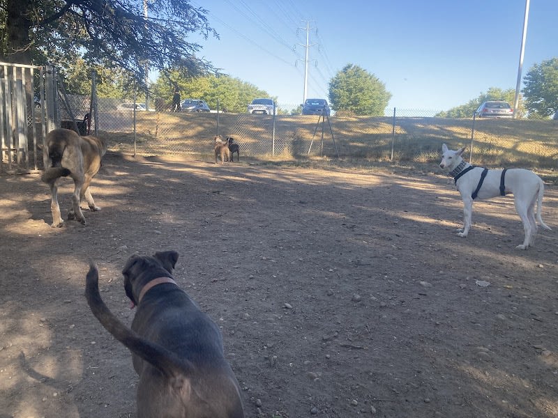 Parc canin — photo