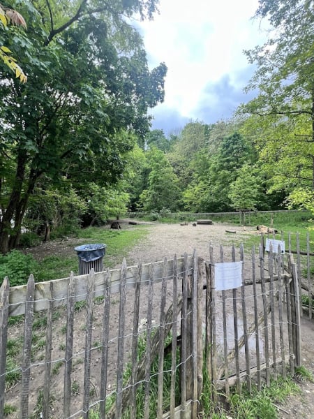 Parc canin — photo