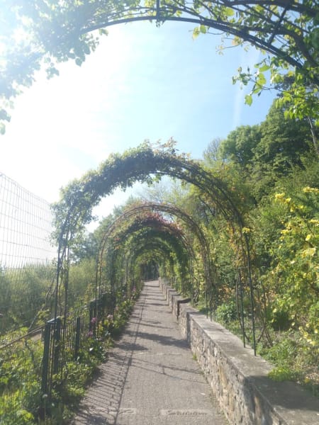 Parc des Hauteurs — photo