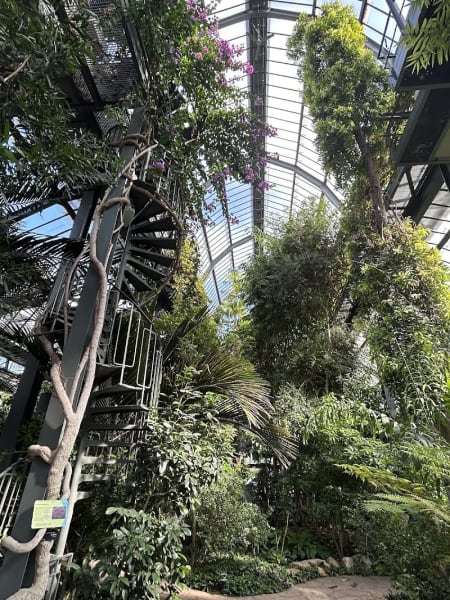 Grandes serres du parc de la Tête d'Or — photo