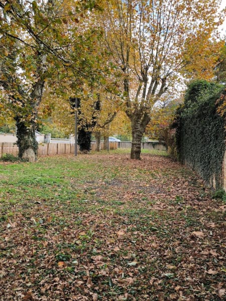 Parc canin Jonchère — photo