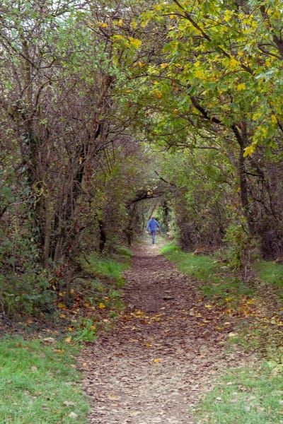 Sentier des Rapaces — photo