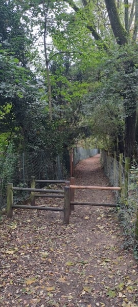 Le sentier du ruisseau de rochecardon — photo