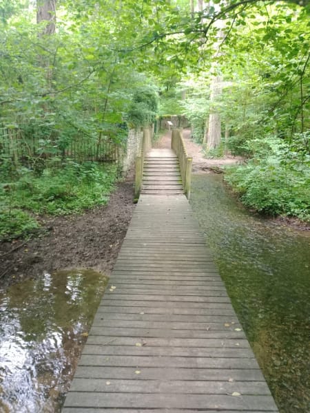 Le sentier du ruisseau de rochecardon — photo