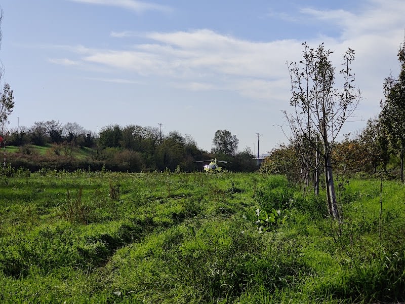 Chemin du Bac À Traille — photo