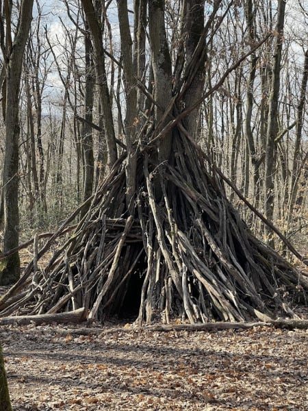 Bois de Serre — photo