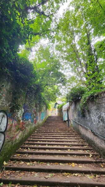 Montée de Notre-Dame de Fourvière — photo