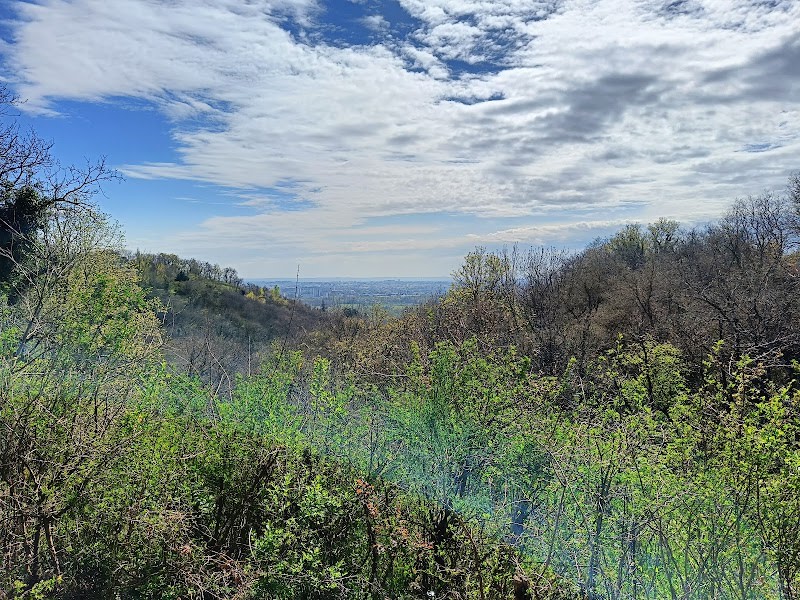 Bois de Sermenaz — photo