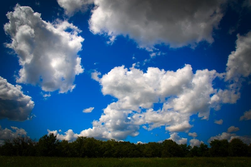 Bois de la Lune — photo