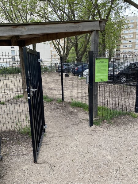 Aire canine — photo