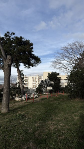 Jardin Achdjian Parc à chien — photo