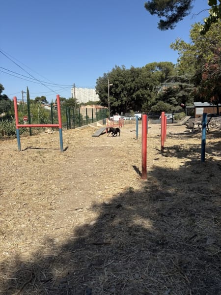 Parc à chien du redon — photo
