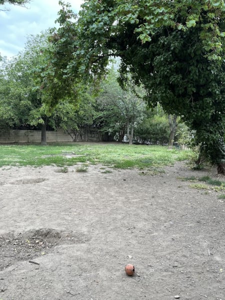 Parc à chien — photo