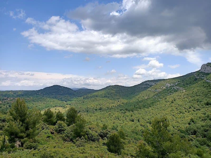 Parc départemental de Pichauris — photo