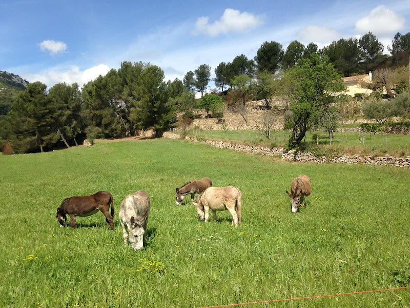 Domaine de la Font de Mai — photo