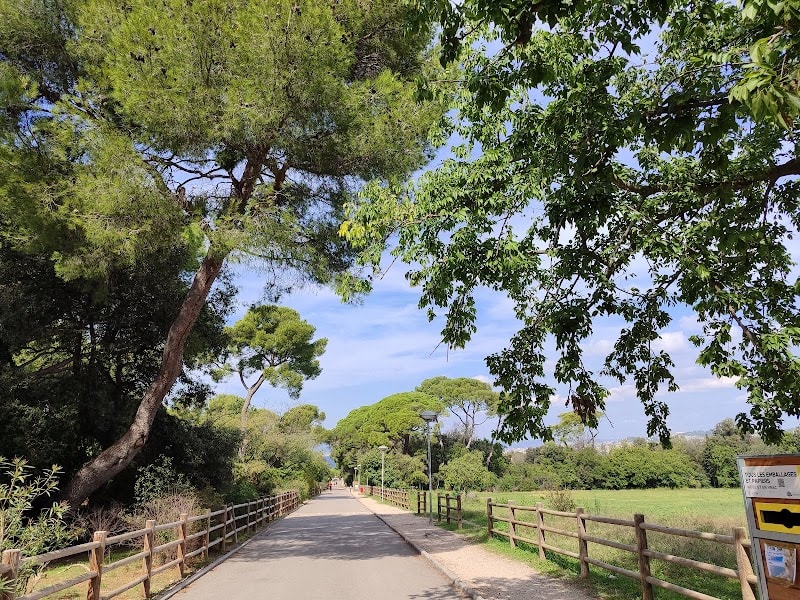 Campagne Pastré — photo