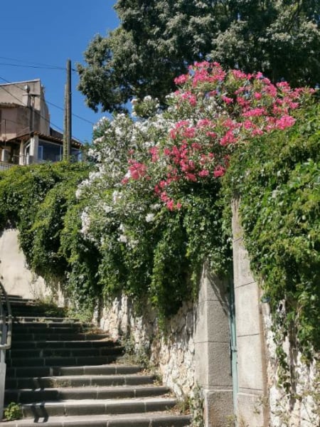 Balade du Canal — photo