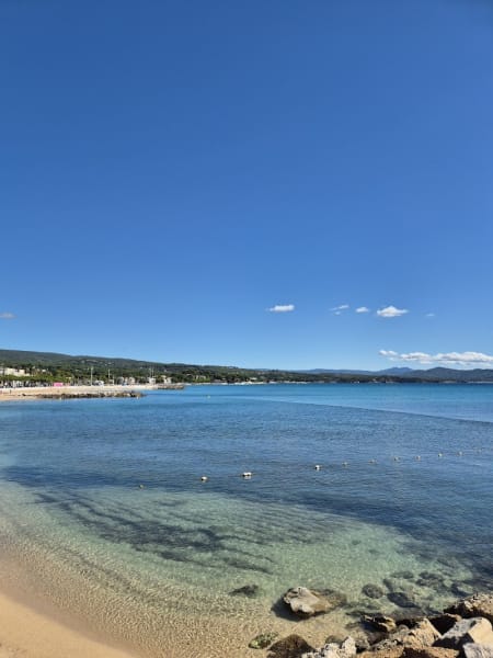 Plage Pour Chiens — photo