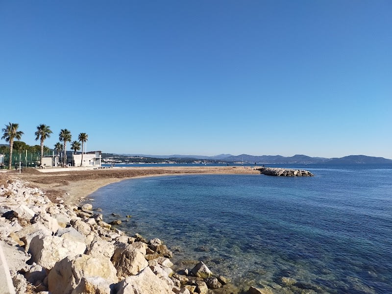 Plage Pour Chiens — photo