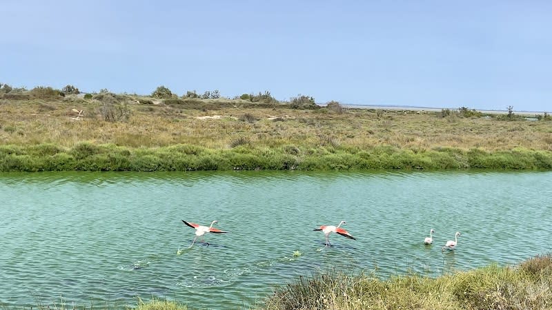 Plage-Est — photo