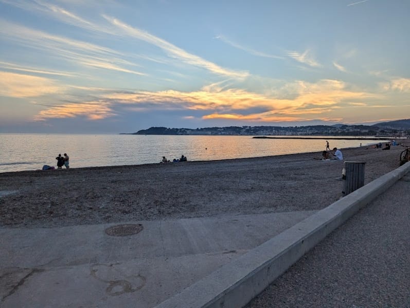 Plage pour chiens — photo