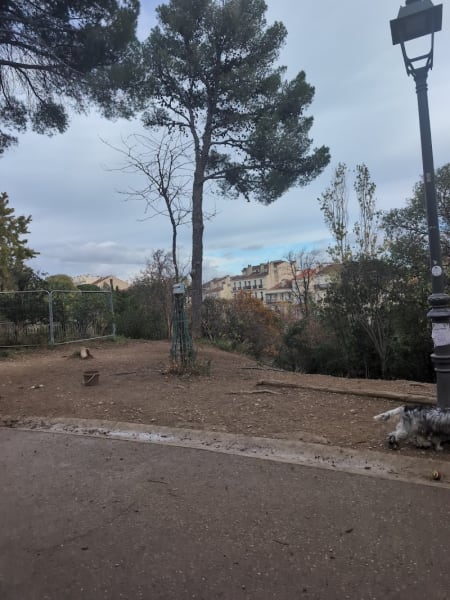 Parc à chiens — photo
