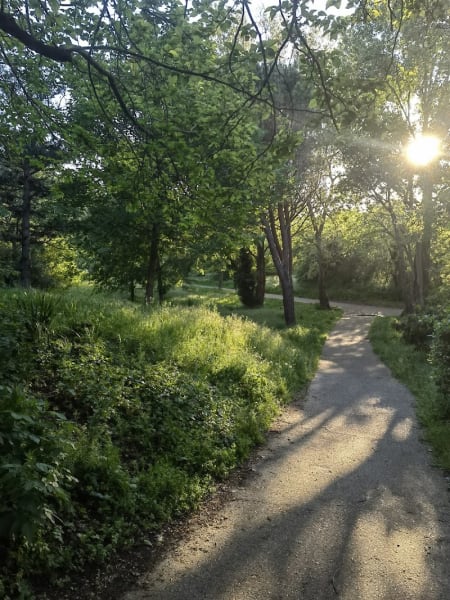 Caniparc — photo