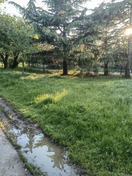 Caniparc — photo