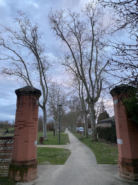 Forêt la Paderne — photo