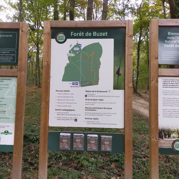 Forêt de Buzet — photo