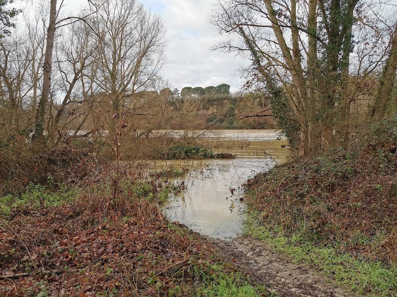 bois de Lombardil — photo