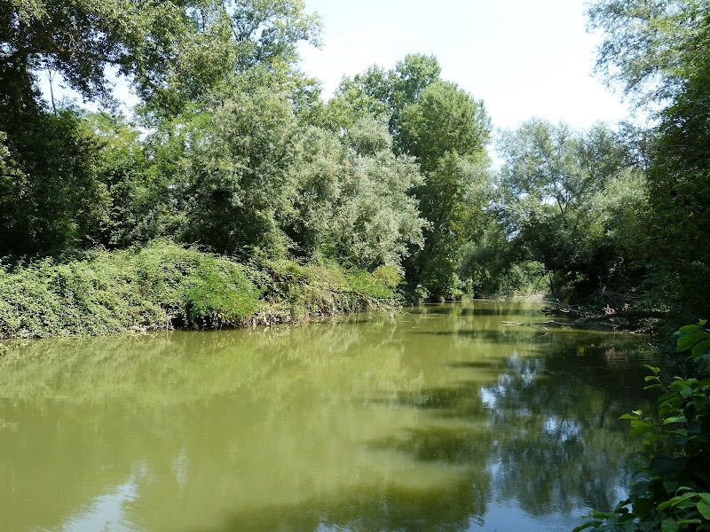 bois de Lombardil — photo