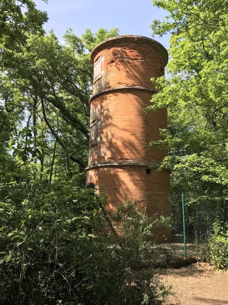 Forêt de Bouconne — photo
