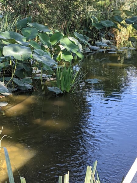 Parc de la Paderne — photo