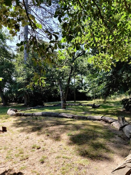 Bois de Rachety — photo