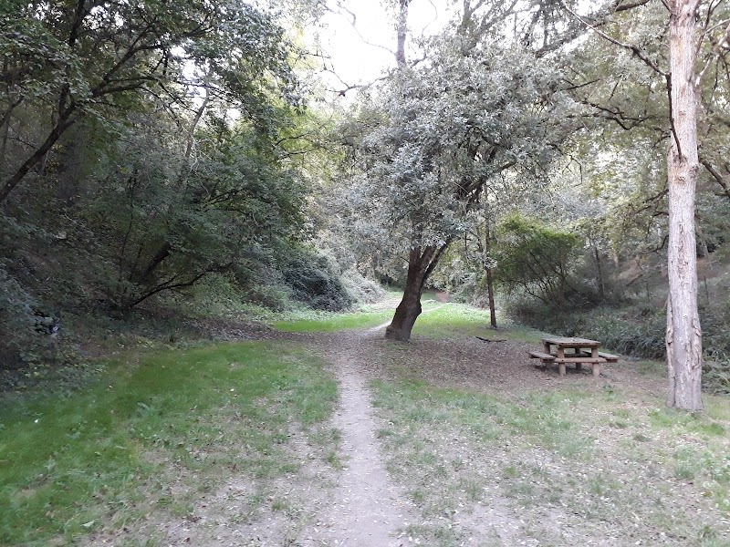 Bois de la Linasse — photo